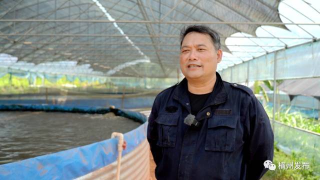 大棚养黑鱼，现代渔业新模式下的生态养殖实践