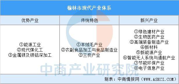Peq项目的专业性，深度解析其内涵与外延