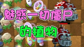PVZ开局策略与技巧