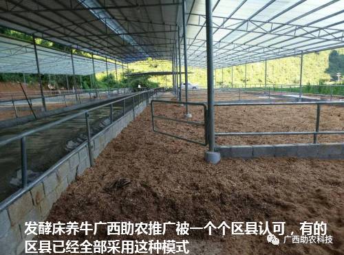 玻璃钢大棚养黑鱼，现代养殖技术的实践与探索