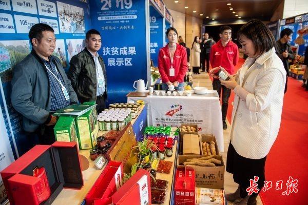 探索土豆图案与土豆商标图案的独特魅力