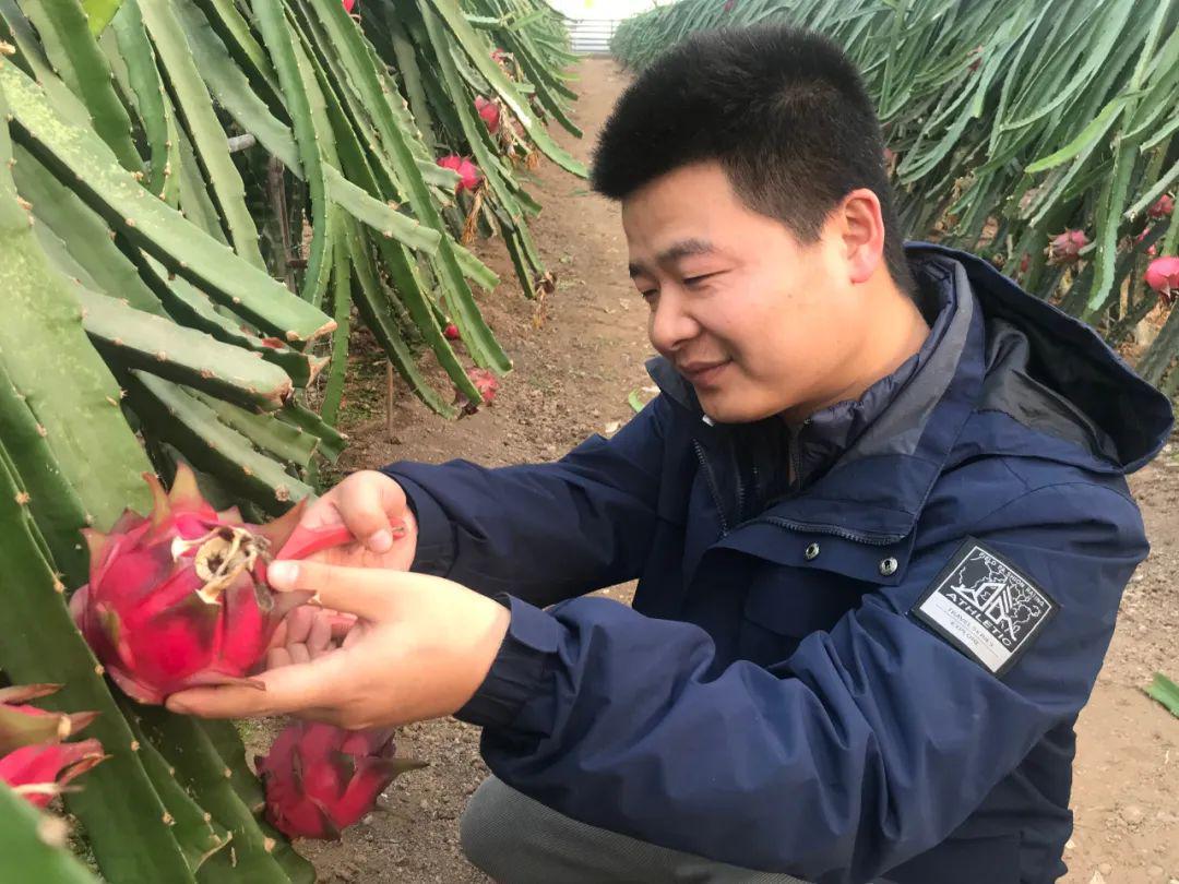 当兵九年工资待遇概览