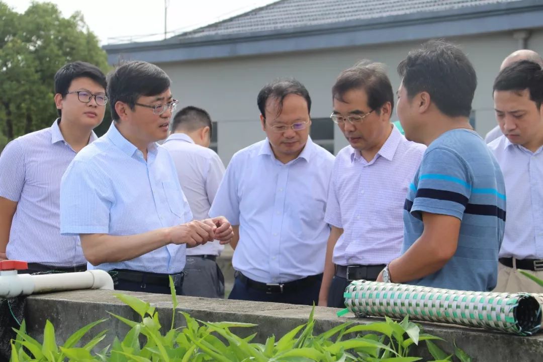 王忠华养殖大棚黄鳝，探索现代农业的新篇章