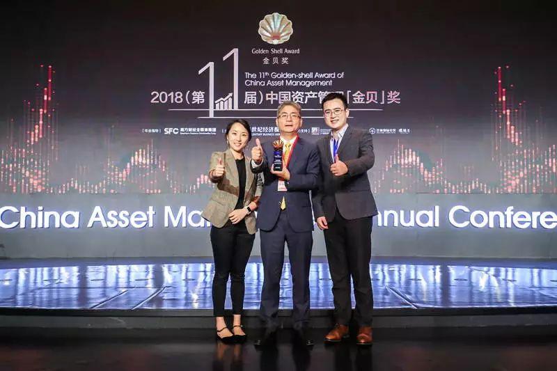 国外专业投资机构的发展与影响