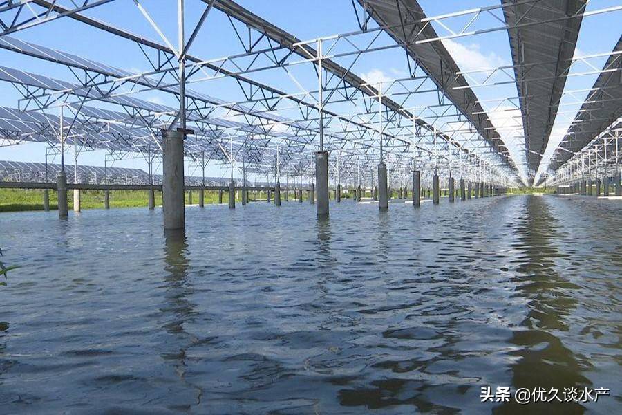 土塘水产养殖大棚，现代水产养殖的新篇章