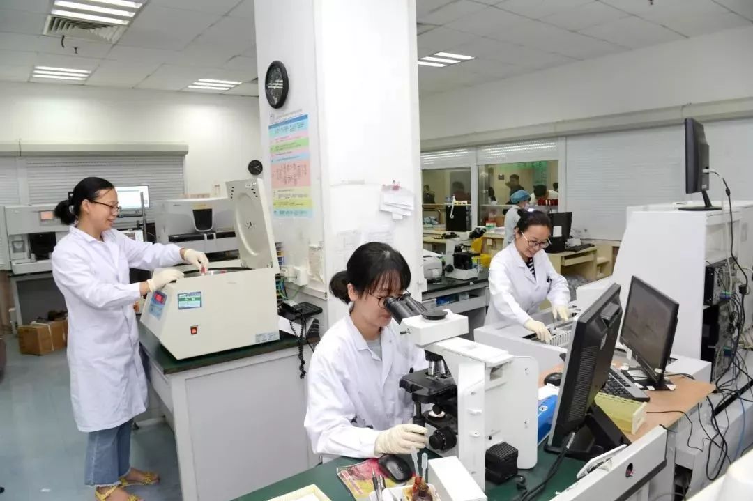温医附二院消化内科专家团队，专业领域的佼佼者