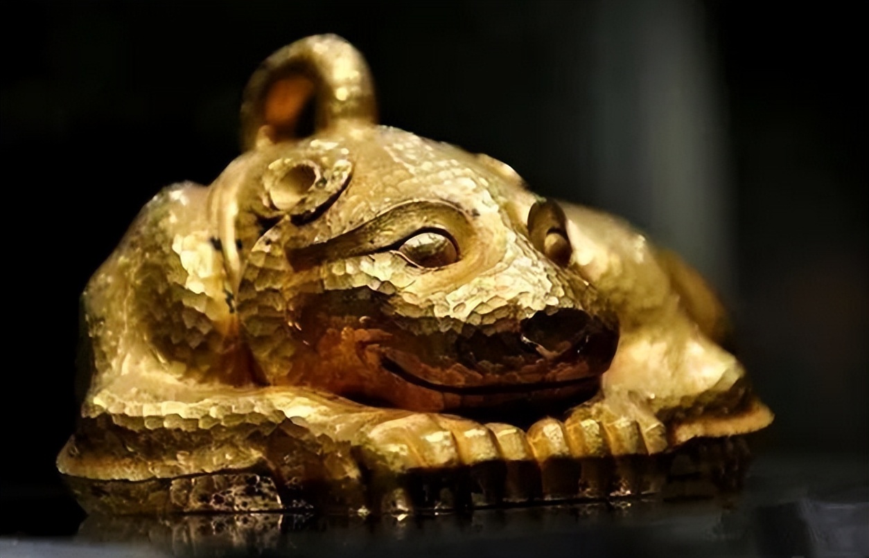 小黄金兽，神秘而独特的存在
