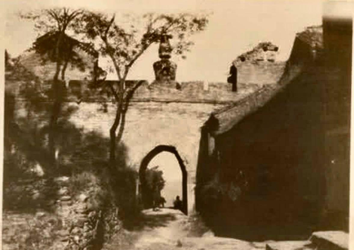 北京香山越野跑，挑战自然，体验激情