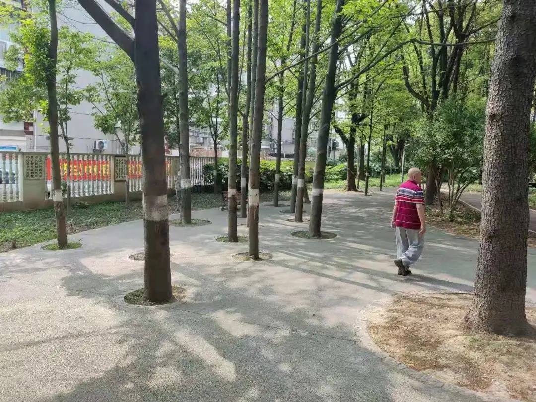 温州儿童医院肾科专家——守护儿童肾脏健康的守护者