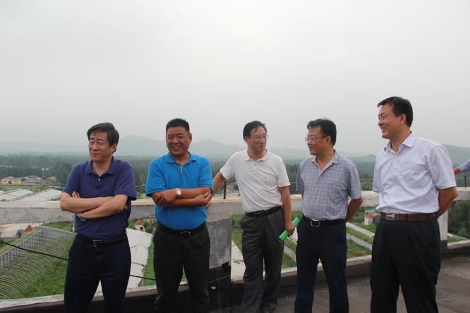 大棚养鱼水循环利用，一种可持续的生态渔业新模式