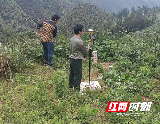 测量标志巡查方案