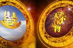鉴宝黄金眼，探寻珍稀宝藏的独到眼光