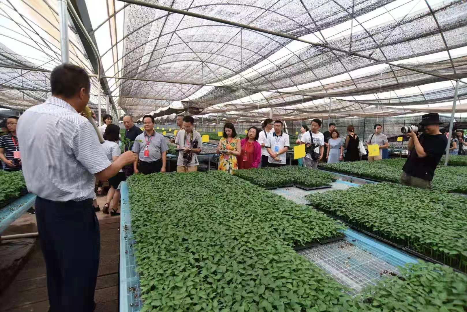 大棚工厂化养鱼，现代水产养殖的新模式