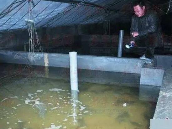 大连海参大棚养殖，探索与体验的视频纪实