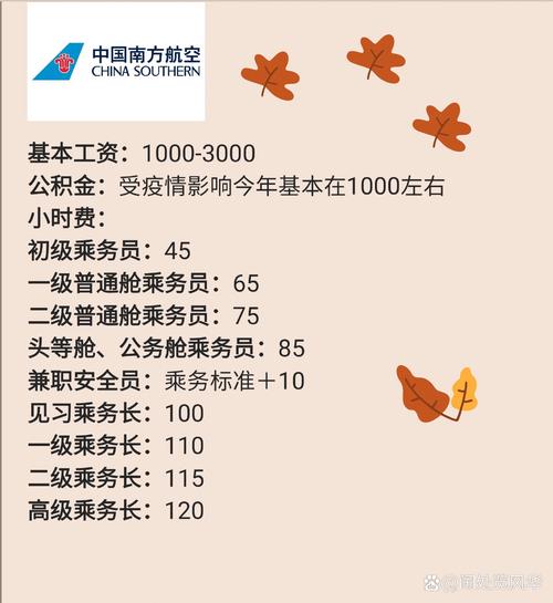 飞行员薪资待遇，探究与解析