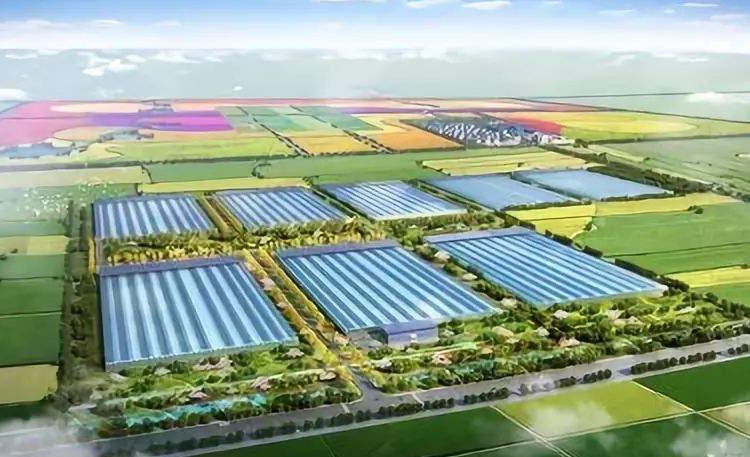 昌邑市多宝鱼大棚，现代渔业的新里程碑