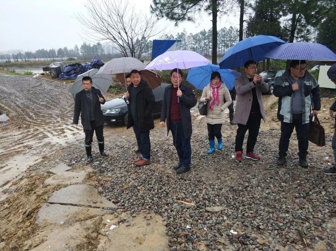 北京大棚养鱼出租，探索现代渔业新模式