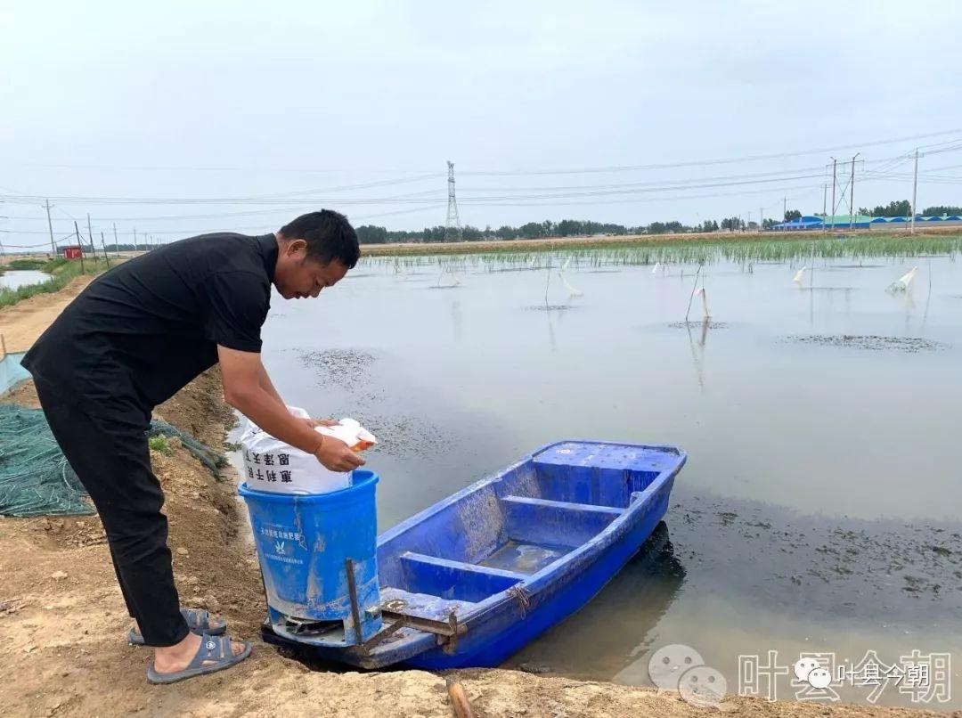探究虾塘大棚结构图的设计与实现