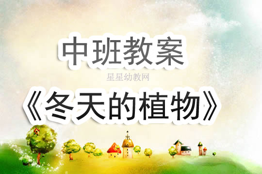 中班教案美术冬天