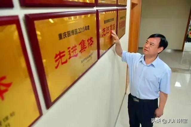 税法一本通目录及其内容概述