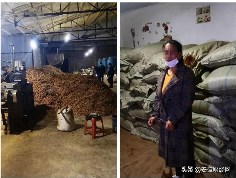 刑事诉讼法一本通，深度解读与实践应用
