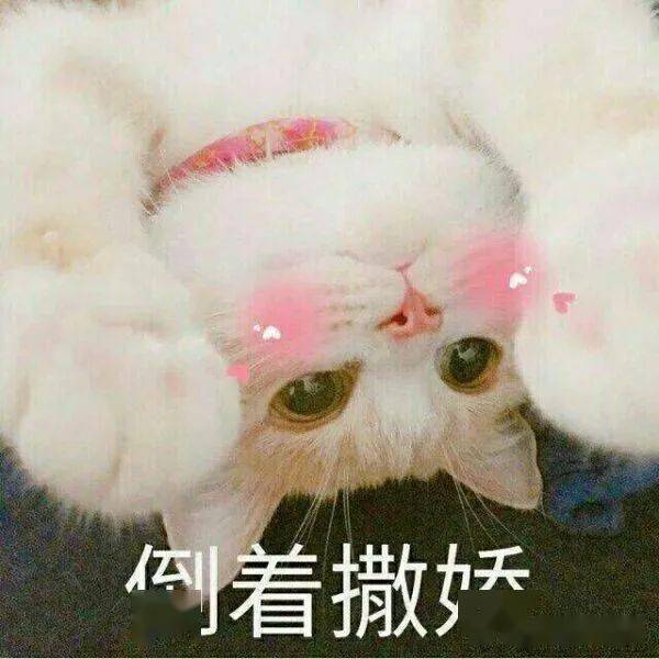 呼脸啪表情包，一种独特的网络文化现象