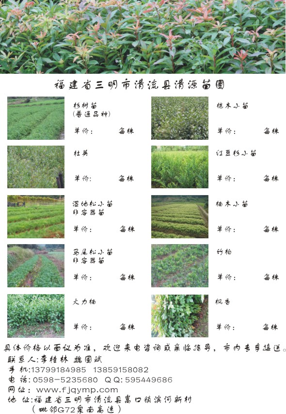 苗木品种名称大全，探索中国的绿色宝库