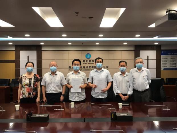 湖北省新能源发展策略深度解读，22号文件引领绿色变革