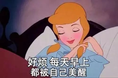 粉毛表情包，网络时代的萌文化新宠