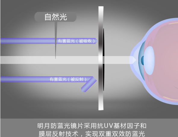 2025年5月27日 第14页