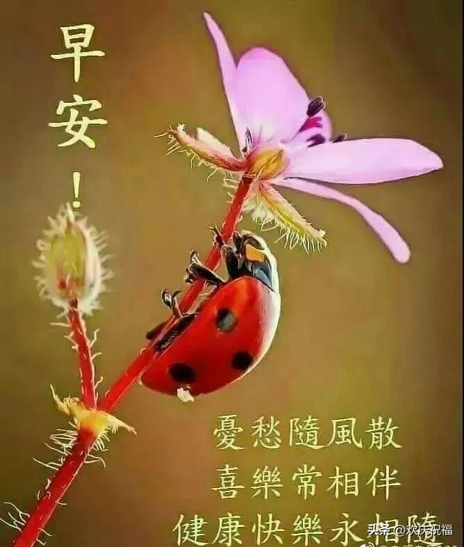 从零开始，打造专属表情包之旅