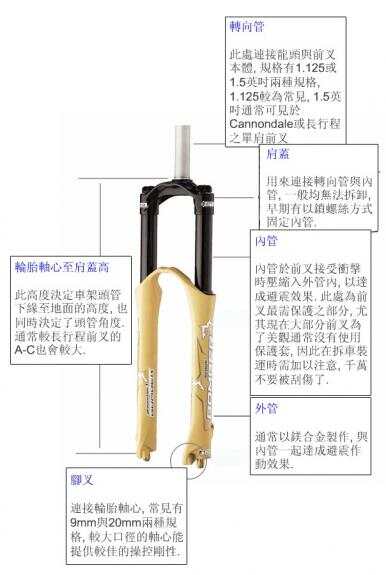 前叉大拆解，深度探究其构造、功能及维修