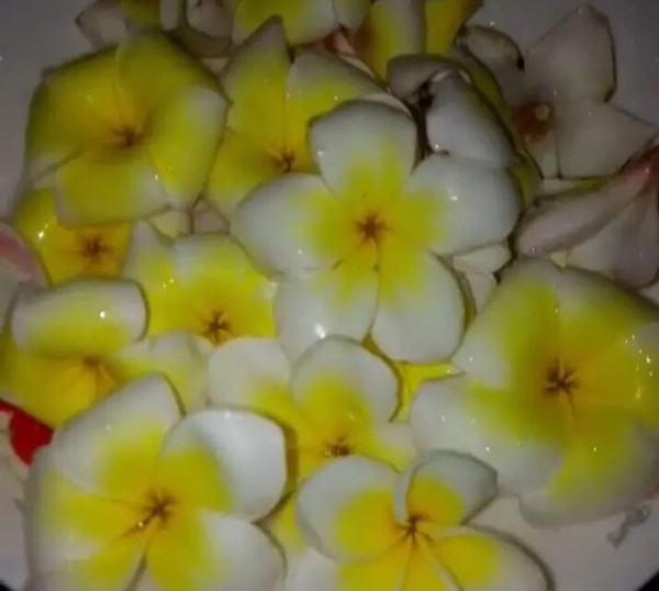 鸡蛋花的做法，一道美味佳肴的烹饪指南