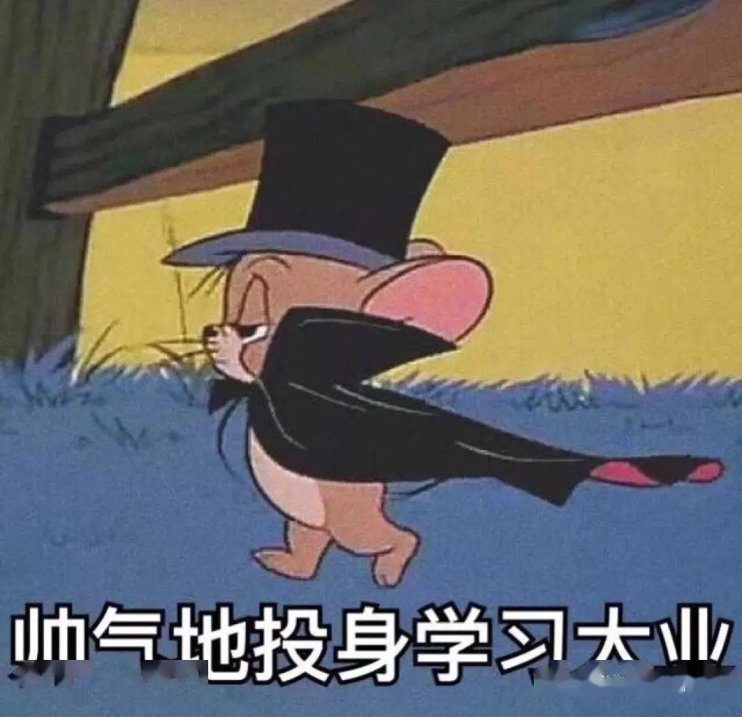 小黄图表情包动漫，一种独特的文化现象
