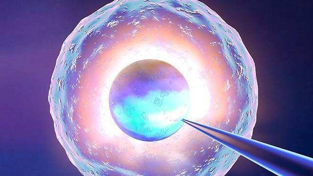 试管取卵多少个最好，探索最佳卵子数量的奥秘