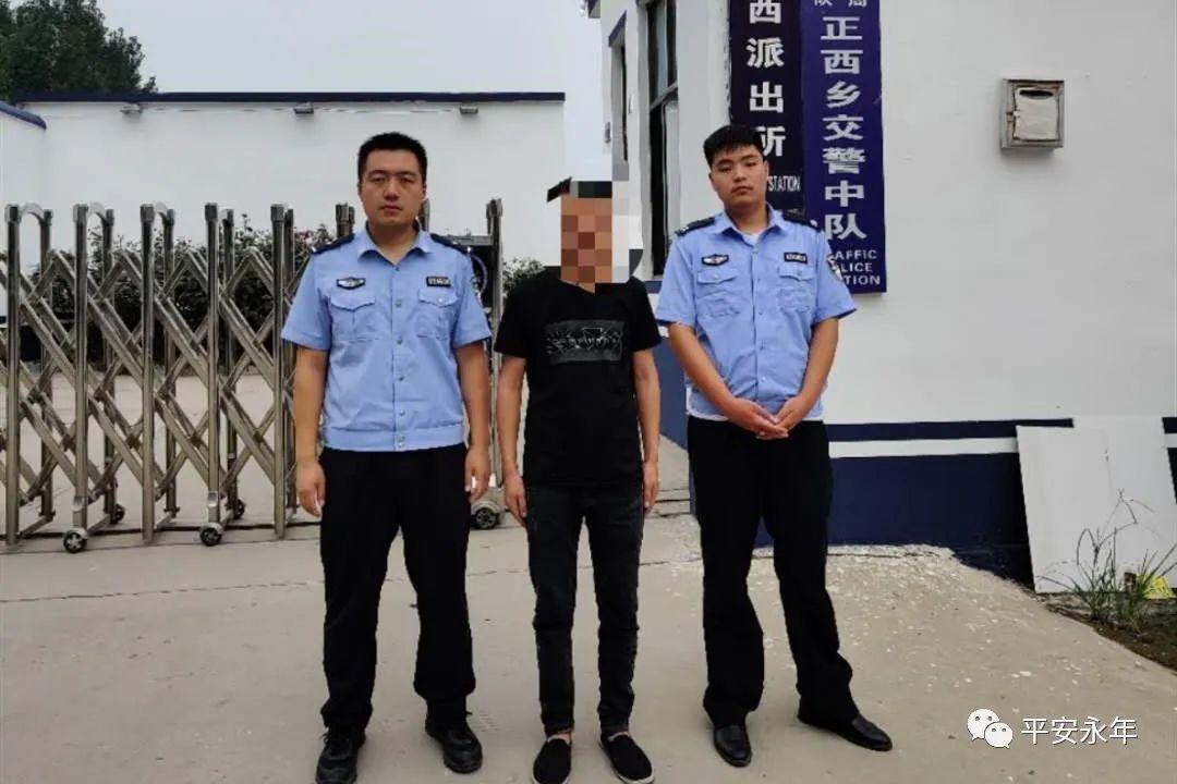 平安保单发票下载，便捷操作与高效管理