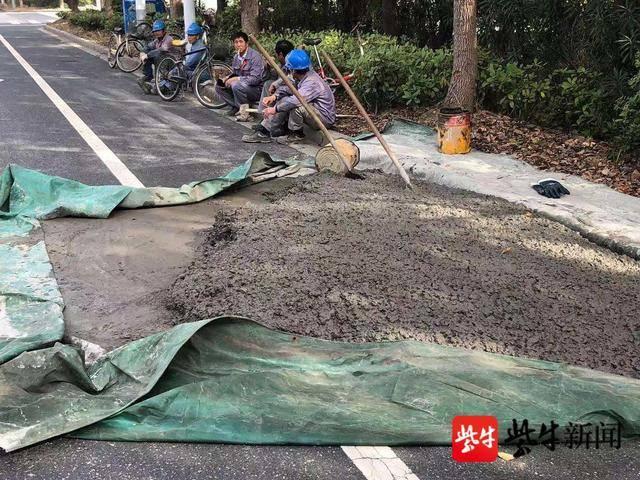 长丰扬子，企业标志与品牌力量的融合