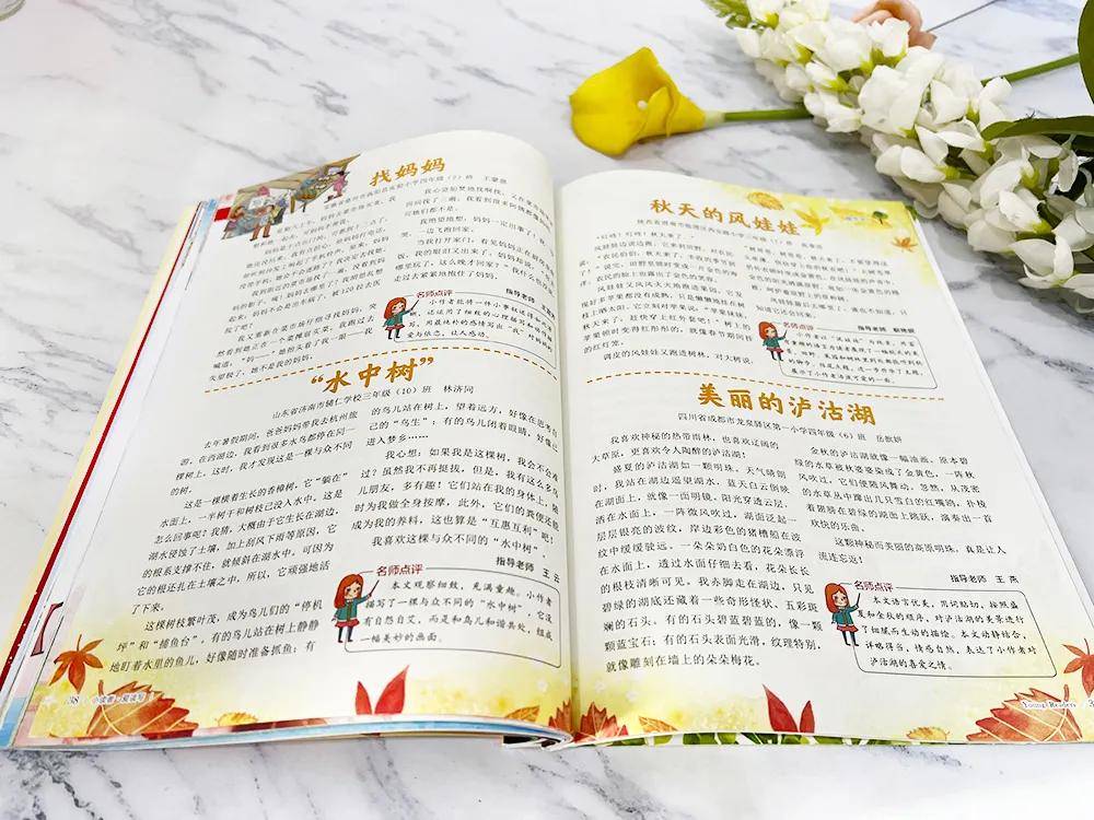 小学生作文一本全，助力写作成长之路