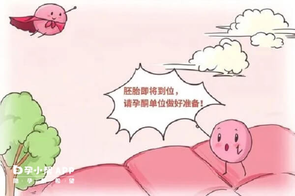 取卵后孕酮低对成功率的影响及应对策略