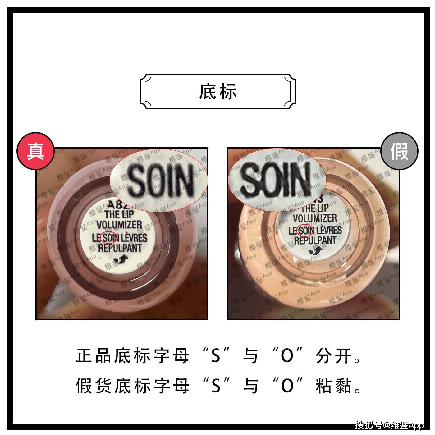 Neo Daisy真假鉴别全攻略