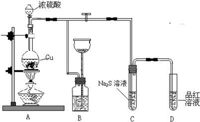 三级打气筒拆解，深入了解其构造与工作原理