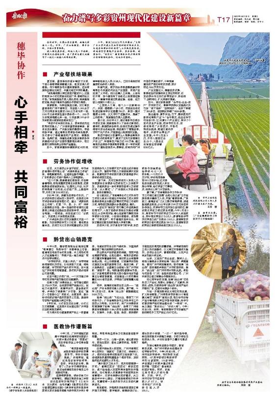 贵州发改委9号文件，引领贵州经济高质量发展的新篇章